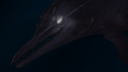 Bloogia Studios Discord Server Banner
