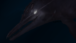 Bloogia Studios Discord Server Banner