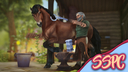 Star Stable Photography Center Discord Server Banner