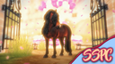 Star Stable Photography Center Discord Server Banner