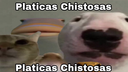Platicas Chistosas Jaja K Cagado Discord Server Banner