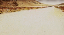 Shurik's World Discord Server Banner