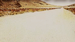 Shurik's World Discord Server Banner