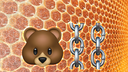 Berachain Discord Server Banner