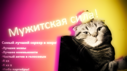 ๐๐๐ ๐๐ฆ๐ค๐๐ฃ๐ ๐ ๐ ๐๐๐๐๐๐ ๐ Discord Server Banner
