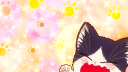˗ˏˋ Discolandia ´ˎ˗ Discord Server Banner