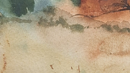 ᴛʜᴇ ᴍᴏᴏɴ Discord Server Banner