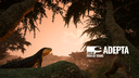 Adepta Path of Titans SM/RP Discord Server Banner