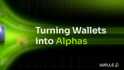 Walle Discord Server Banner
