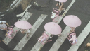 Copito’s Gang Discord Server Banner