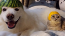 TFGames [BETA] Discord Server Banner
