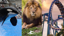 SeaWorld Discord Server Banner