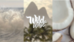 𝑾𝒊𝒍𝒅 𝑾𝒆𝒔𝒕 Discord Server Banner