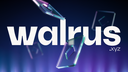 Walrus Discord Server Banner
