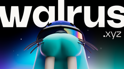 Walrus Discord Server Banner