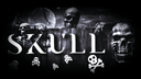 skull Discord Server Banner