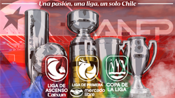 ANFP - Asociacion Nacional De Futbol Profesional Discord Server Banner