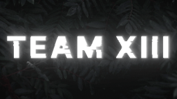 XIII Discord Server Banner
