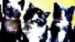 latina get together Discord Server Banner