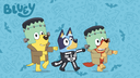 The Heeler House Discord Server Banner