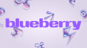 BLUEBERRY│Dare To Be Discord Server Banner