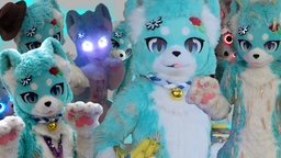 Cat Collective Discord Server Banner