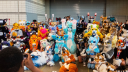 Cat Collective Discord Server Banner