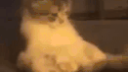 Tmy Discord Server Banner