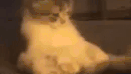 Tmy Discord Server Banner