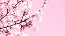 Blossombound Discord Server Banner
