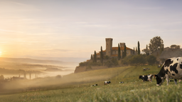 EdoMod Community Discord Server Banner
