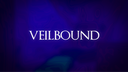 Veilbound Community Discord Server Banner