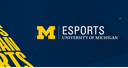 Michigan Esports Discord Server Banner