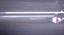 VORTIC 8.0 Discord Server Banner
