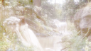 /bowz 🎀 Discord Server Banner