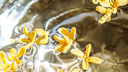 Nha cua Tho . ಌ Discord Server Banner