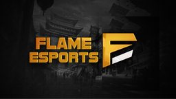 Flame E-Sports & Gaming Discord Server Banner