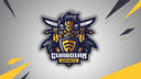 Guardian eSports Discord Server Banner