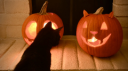 rose o ween  🎃  giveaways & social Discord Server Banner