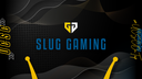 Slug Gaming Discord Server Banner