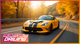 Realistic Car Drivingβ’ Discord Server Banner