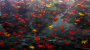 The Nightfall Syndicate✨🌙 Discord Server Banner