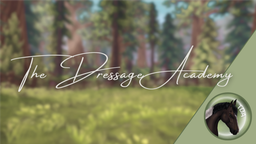 The Dressage Academy Discord Server Banner