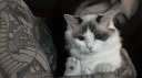 apathy Discord Server Banner