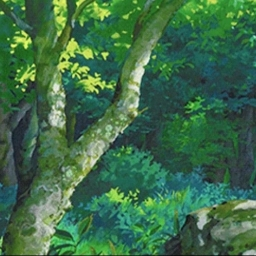 🦊 The Magic Forest Discord Server Banner