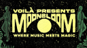THE MAGICIANS (VOILA) Discord Server Banner