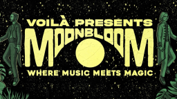 THE MAGICIANS (VOILA) Discord Server Banner