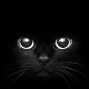 VDP Discord Server Banner