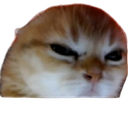 Mad_Cat emoji