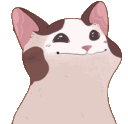 PogCatAnimated emoji